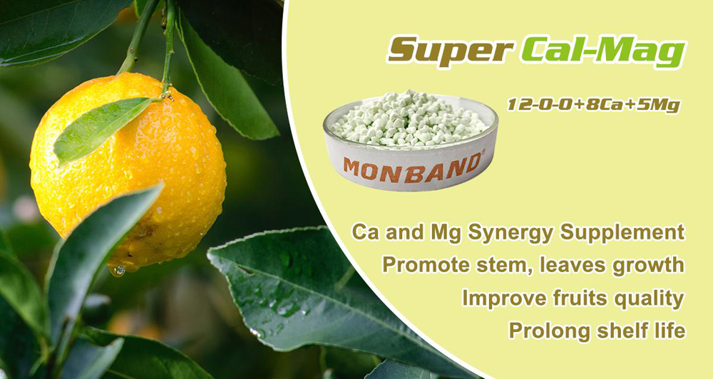 1603937836509415.jpg 3.jpg