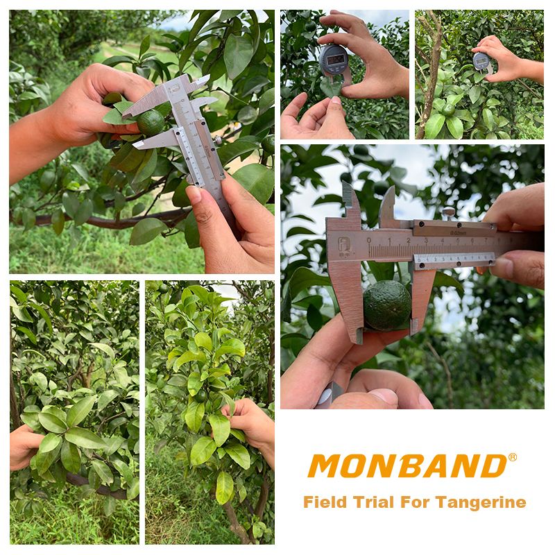 1603937840538664.jpg 4.jpg