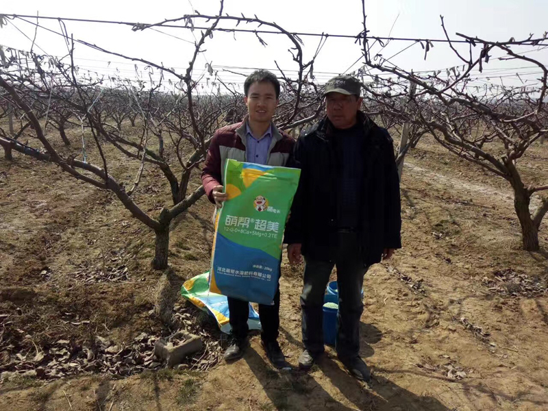 1603937847173234.jpg 5.JPG