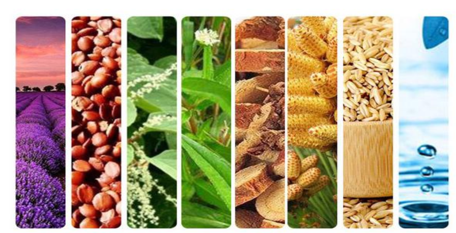 1604470151607818.png 图片.png