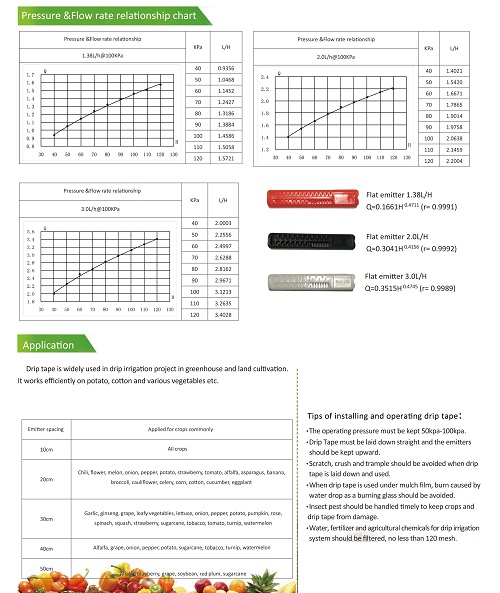 1604914994788554.jpg 3.jpg