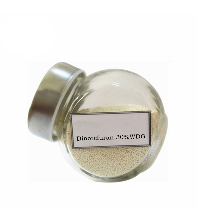 bio nematicide pesticide Nicotine insecticide chemicals termite control bait station Dinotefuran 20%SC 